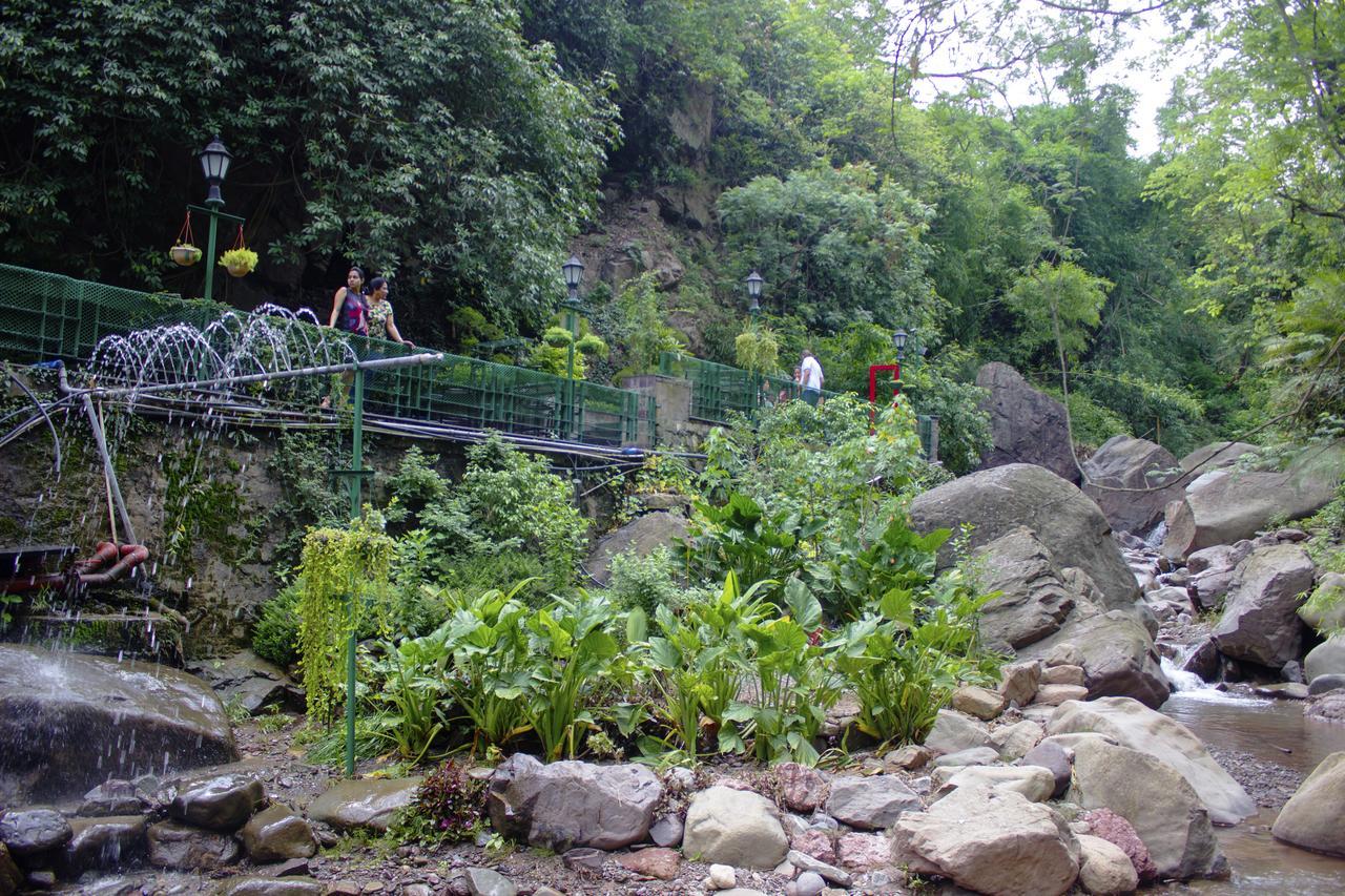 Savoy Greens Hotel Kasauli Exterior foto